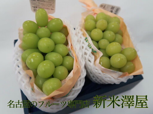 【送料無料】 ギフト シャインマスカット 長野県産 果物 2個入り あすつく対応 【送料無料】 ギフト シャインマスカット 長野県産 果物 2個入り あすつく対応
