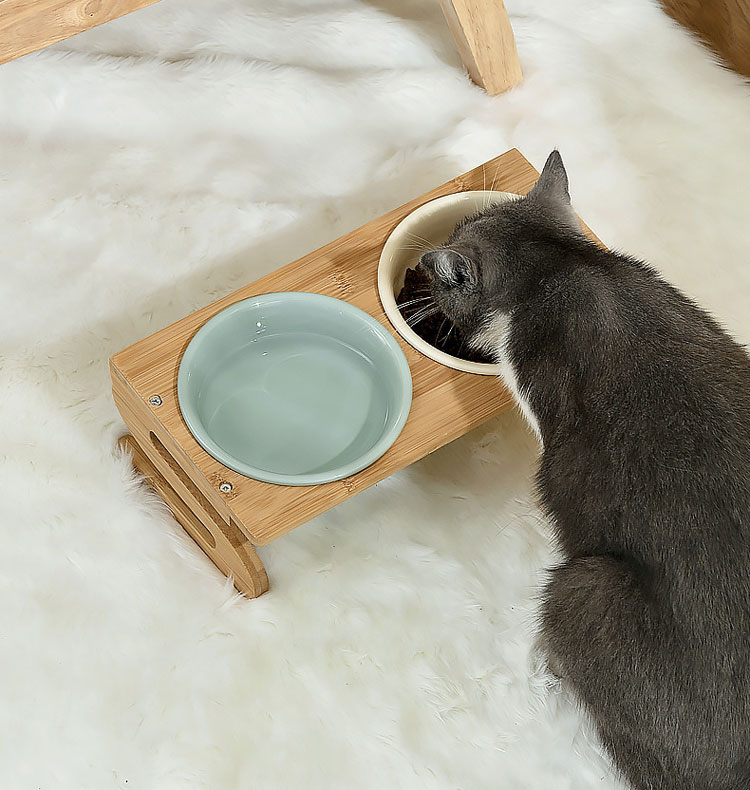 �ڥ����ݥ����1000��OFF��ǭ���� ǭ������ �ڥå� �ܥ��� �� �ա��ɥܥ��� ������ �ڥåȥܥ��륹����ɥ��å� �����凉�ƥ�쥹 �� Ĵ���ǽ ��ؤ���ô�ڸ� ������ ���� �ڥåȻ� ���ߤ� ��곰����ǽ �������ñ �ڥå����� ǭ���凉����� �ڥå��ѿ���