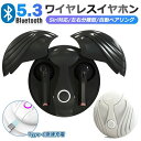 【255時間限定価格】ワイヤレスイヤホン Bluetooth Type-C急速充電 マイク付 通話対応 Hi-Fi高音質 LED付き 充電ケース付き 軽量 完全...