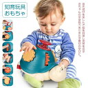 【楽しく指先遊びで脳を刺激し発育を促す!】モンテッソーリおもちゃ 子供おもちゃ キッズおもちゃ 形認識 カラー認識 指先訓練 知育玩具 集中力 早期発育 安全なABS素材 耐衝撃9ヶ月 1歳 2歳 3歳 幼児 子供 誕生日 プレゼント 出産祝い