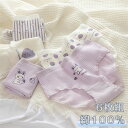 【在庫処分価格】6点セット ショーツ 綿100% レディース セット ショーツ 無地 女性 チェック パープル系 レースパンツ 無地 綿 レディース 少女 コットン ショーツ 綿パンツ 下着女性 かわいい レース ショーツ 深ばき 下着(4)