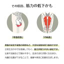 【新発売限定記念価格!】内転筋トレーニング ヒップトレーナー デジタルパネル 産後エクササイズ ヒップアップ 美尻トレーニング 骨盤ケア 太もも 脚やせ 腕 背...