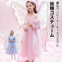 【166時間限定価格】クリスマス コスプレ 衣装 子供 子ども 妖精 パピヨン ロング スカート ワンピース 可愛い 仮装 変装 ハロウィン セットアップ コスチューム コスプレ 制服 可愛い かっこいい 女の子 面白い 雰囲気 cosplay お姫様 蝶 ウィング 翼 欧米 スカート