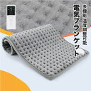 【新発売限定記念価格!】電気ブランケット 毛布 恒温 暖かい 9段階温度調節 タイマー タイマー機能 膝掛け heating pad 58*29cm プレゼント...
