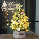 【166時間限定価格】 クリスマスツリー 卓上 60cm ミニクリスマスツリー クリスマスツリー ミニツリー クリスマス飾り LEDイルミネーション キラキラ 雰囲気満々 店内ディスプレイ カフェ レストラン インテリア お洒落 小型 プレゼント LEDライト付 卓上 テーブル