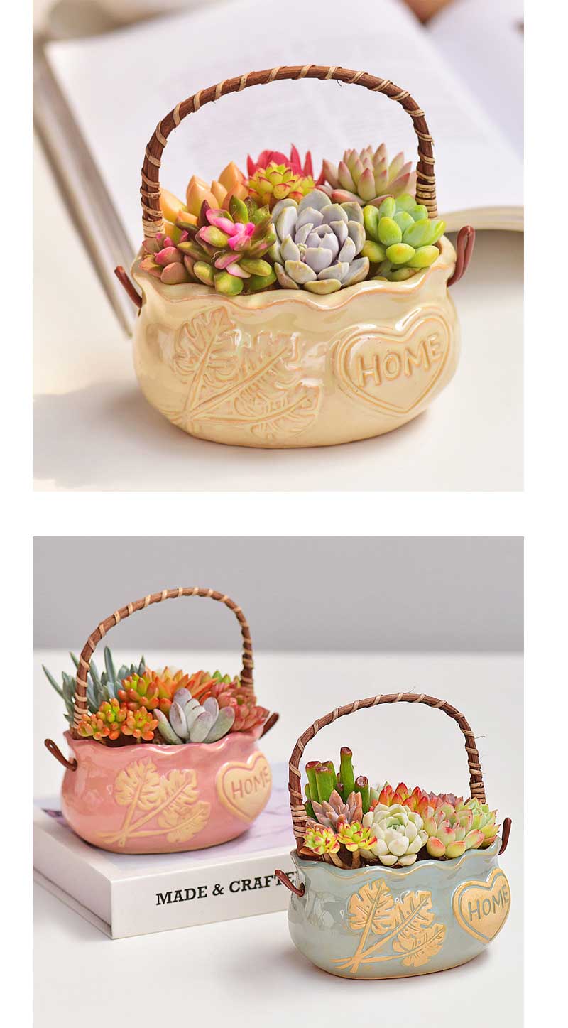 �ڥ����ݥ����1000��OFF�ۿ���ȭ ����� �����ǥ˥󥰥��֥��� ȭ���� �İ���¿����ʪ��ȭ �����ǥ�ǥ��졼����� ���⿢ʪ�Ѳİ���ȭ �ץ쥼����ѥ�ˡ����ʿ���ȭ �����ǥ˥󥰥��֥��� ȭ����