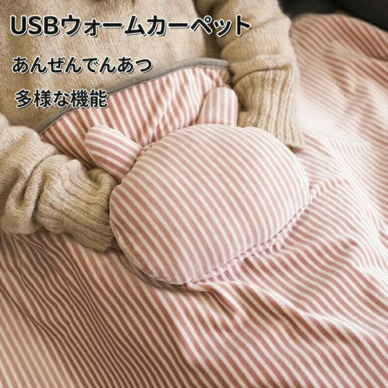 【大人気商品】強力推薦☆ USB電熱ブランケット USB発熱ひざ掛け 肩掛け 掛け敷き兼用 ブランケット USB給電式 過熱保護 電気ブランケット ヒーター内蔵 あったか ヒートブランケット 足元暖房 可愛い 洗える 防寒 冷え対策 ポンチョ 電気毛布 電気敷き毛布