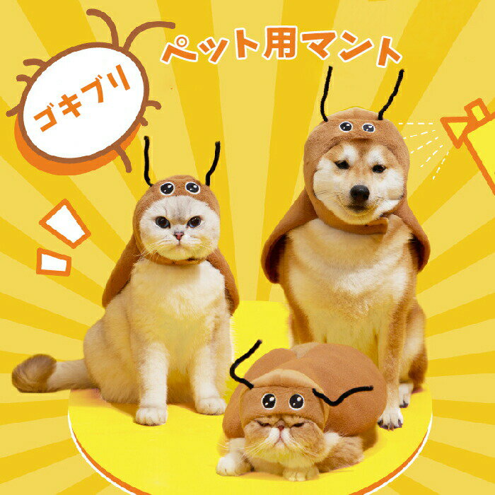 【クーポン最大1000円OFF】ハロウィン コスプレ衣装 ペット マント ゴキブリ あぶらむし ポンチョ 被り物 面白い コスチューム 帽子 犬服 猫服 コスプレ ペット 猫 小型犬用 変身グッズ ペット服 ハロウィン仮装 ペット 犬変身 小型犬 猫服 撮影道具 コスチューム 犬服