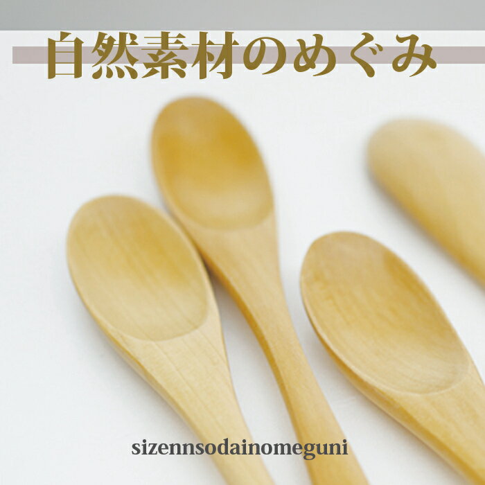 ♪　スリ　漆　 細　カレー 　スプーン　5客セット　カトラリー　528-4T：サイズ 19.4cm