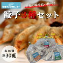 餃子 3種 お試しセット ぎょうざ 冷凍 ギョウザ 食べ比べ 冷凍餃子 国産 焼き餃子 美味しい 冷凍餃子セット 大容量 食べ比べセット おいしい 餃子セット お取り寄せ 大人 子供 つまみ 美味しい餃子 ギョーザ おかず 夜食 焼餃子 楽天 取り寄せ 冷凍食品 おつまみ