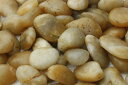 彩光石 黄金 20kg