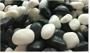 モノトーン 白黒砂利セット 40kg ミックス砂利 和モダン 彩光石 黒 20kg + 白玉砂利 白仙 20kg