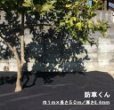 防草くん 防草シート 1m×50m お庭や通路の雑草防止におすすめ