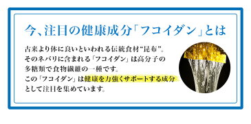 【シオノギヘルスケア】【送料無料】フコイダンカプセル<60粒入り(1日の目安:2粒)>【がごめ昆布 フコイダン ガゴメ昆布 含有量 フコダイン サプリメント ねばねば 海藻 日本製 食品 健康食品 栄養成分 フコイダン】