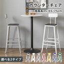 カウンターチェア バーチェア ハイチェア カウンタースツール 椅子 イス スチール コンパクト 北欧 レトロ シンプル おしゃれ 背もたれ付き カフェ風 ホテル ホワイト シルバー レッド イェロー ブルー グリーン ブラック 単品 店舗 業務用