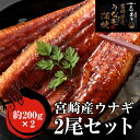 国産うなぎ 宮崎産 蒲焼き 2尾セット 200g×2尾 うなぎ レシピウナギ 鰻 ギフト お取り寄せグルメ お取り寄せ 贈り物 贈答 父の日 プレゼント ギフト