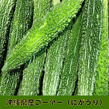 【送料無料】沖縄県産ゴーヤー 苦瓜 にがうり 2kg(6~10本）産地直送 新鮮 夏バテ防止 夏野菜 健康維持に ゴーヤージュース スムージー おうち時間 訳アリ お得 格安 おすすめ お取り寄せ たっぷり 沖縄 野菜 食材 グルメ ご当地 ギフト 母の日 父の日 お中元 お歳暮 贈答