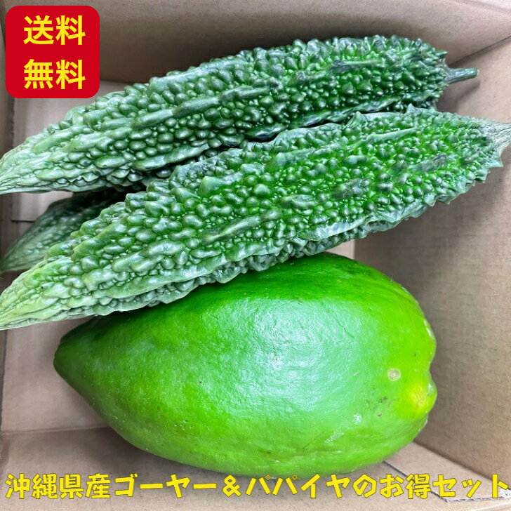 【送料無料】沖縄県産ゴーヤー(にがうり)とパパイヤのセット販売 農家さんからの直接仕入れ 訳アリ お取り寄せ 産地直送 たっぷり 沖縄 野菜 食材 グルメ ご当地 ギフト 母の日 父の日 お中元 お歳暮 贈答 セット 詰め合わせ しおさい市場のサムネイル