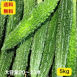 【訳アリ】送料無料！沖縄県産ゴーヤー 苦瓜 にがうり 大容量5kg(20~23本）農家さんからの直接仕入れで新鮮 お取り寄せ おうち時間 訳アリ お得 格安 おすすめ お取り寄せ たっぷり 沖縄 野菜 食材 グルメ ご当地 ギフト 母の日 父の日 お中元 お歳暮 贈答