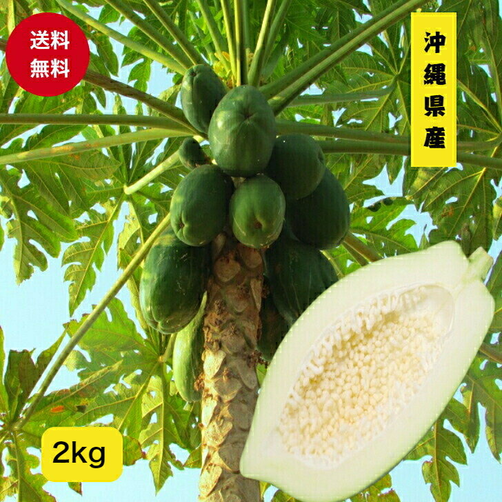 ̵۲츩  ĥѥѥ 2kg(26)Ȥ󤫤ľܻ   ľ äפ      ե   渵  £ ƥʥå