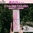 4/30までのご注文で母の日にお届けします。塩屋櫻井 ようかん純栗ごのみ6個入 母の日 ギフト 贈答 和栗 栗ようかん 栗かのこ 栗らくがん 小布施 西尾の抹茶...
