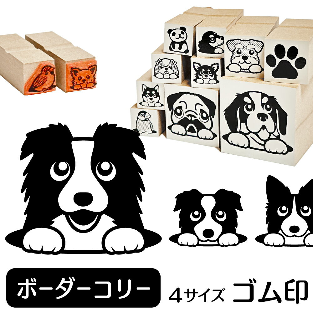 ボーダーコリー イラスト ゴム印【角印 4サイズ展開 油性インク 対応】かわいい 犬 ドッグ 動物 雑貨 ..