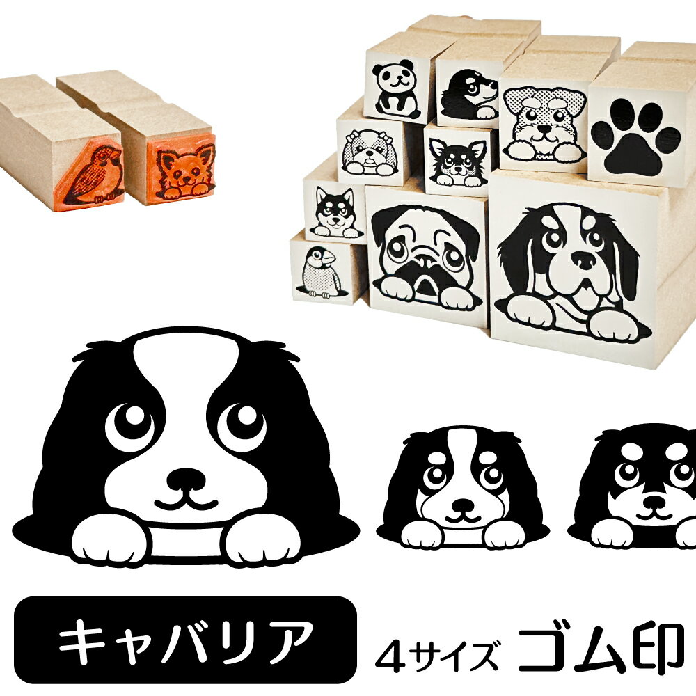 キャバリア イラスト ゴム印【角印 4サイズ展開 油性インク 対応】かわいい 犬 ドッグ 動物 雑貨 グッズ ハンコ スタンプ 可愛い プレゼント ギフト 贈り物 買い回り ポイント消化 オリジナル オーダーメイド