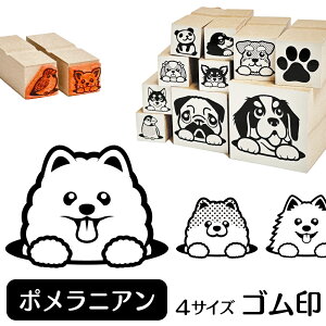 ポメラニアン イラスト ゴム印【角印 16mm 油性インク 対応】かわいい 犬 ドッグ 動物 雑貨 グッズ ハンコ スタンプ 可愛い プレゼント ギフト 贈り物 買い回り ポイント消化 送料無料 結婚祝い 母の日