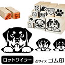 ロットワイラー イラスト ゴム印【角印 16mm 油性インク 対応】かわいい 犬 ドッグ 動物 雑貨 グッズ ハンコ スタンプ 可愛い プレゼント ギフト 贈り物 買い回り ポイント消化 送料無料 結婚祝い 母の日