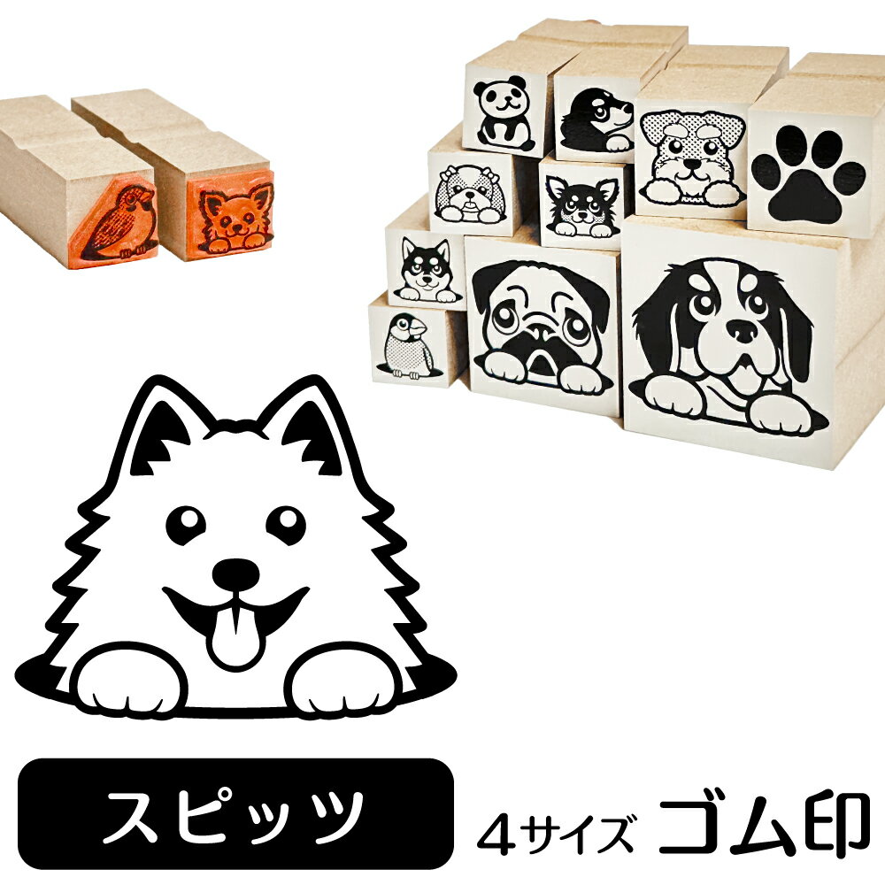 スピッツ イラスト ゴム印【角印 16mm 油性インク 対応】かわいい 犬 ドッグ 動物 雑貨 グッズ ハンコ スタンプ 可愛い プレゼント ギフト 贈り物 買い回り ポイント消化 オリジナル オーダーメイド