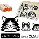 ノルウェージャンフォレストキャット イラスト ゴム印【角印 4サイズ展開 油性インク 対応】かわいい 猫 ネコ 動物 雑貨 グッズ ハンコ スタンプ 可愛い プ...