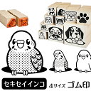 セキセイインコ イラスト ゴム印【角印 16mm 油性インク 対応】かわいい 鳥 インコ バード 動物 雑貨 グッズ ハンコ スタンプ 可愛い プレゼント ギフト 贈り物 買い回り ポイント消化 送料無料 結婚祝い 母の日