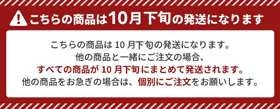 �������åȥ����ǥ����� 2026�������� ������A3������ ǭ�������� �ڥå� �ݸ�ǭ �����������Ʊ��A��