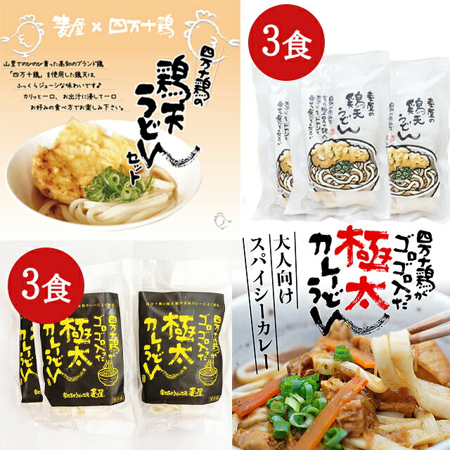 【麦屋の四万十うどん】四万十鶏うどん・四万十鶏カレーうどん　（特製つゆ付き）各3食セット【冷凍】(4)