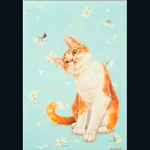 ochopi ポストカード 「てんとう虫と茶白猫」 【同梱A】