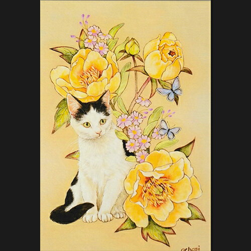 ochopi ポストカード 「黄色い牡丹と富士額猫」 【同梱A】