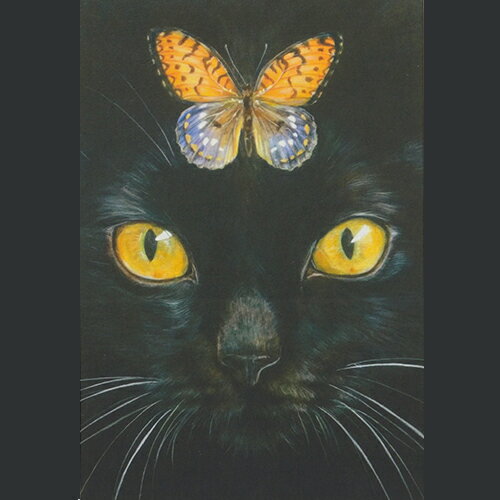 ochopi ポストカード 「きいろい目(黒猫)」 【同梱A】