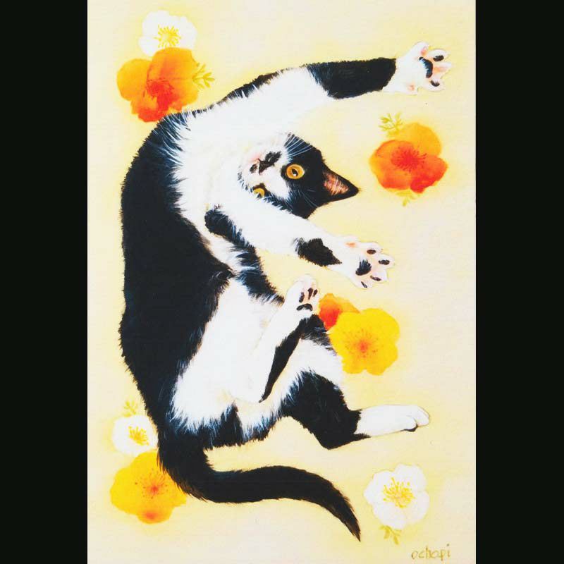 ochopi ポストカード 「ごきげんちょみこ(ハチワレ)」 【同梱A】