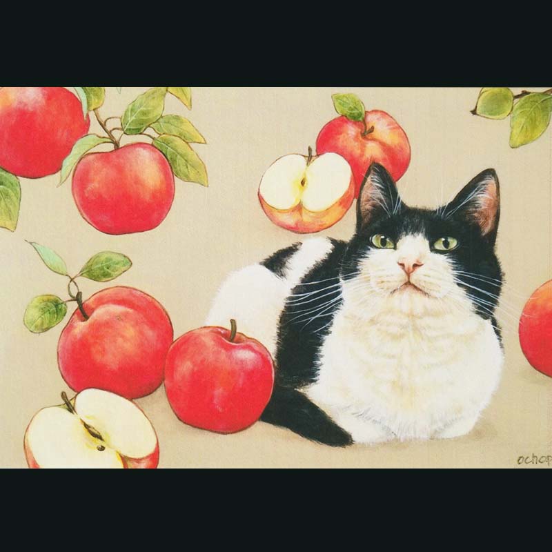 ochopi ポストカード 「リンゴとハチワレない猫」 【同梱A】