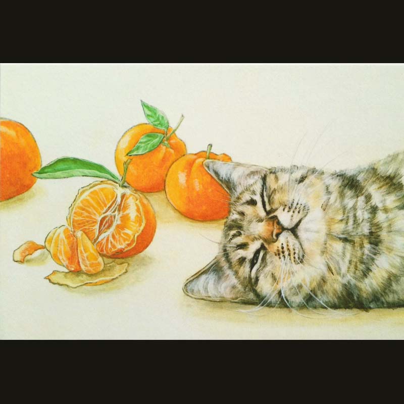 ochopi ポストカード 「猫にみかん」 【同梱A】