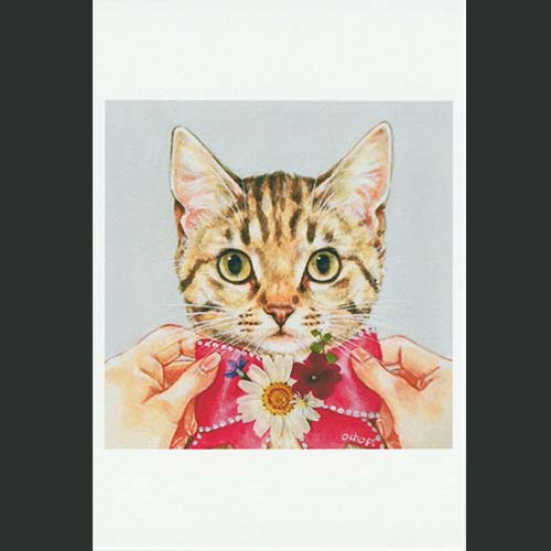 ochopi ポストカード 「イエネコ」 【同梱A】