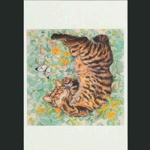 ochopi ポストカード 「Peach in the grass」 【同梱A】