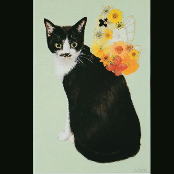 ochopi ポストカード 「Flower Cat Fairies C」 【同梱A】