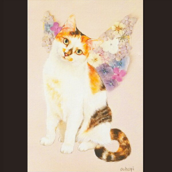 ochopi ポストカード 「Flower Cat Fairies R」 【同梱A】