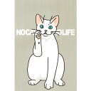 \予約販売/ ポストカード サトヲサチコ 猫 手招き 白猫 ベージュ NO CAT NO LIFE 【同梱A】