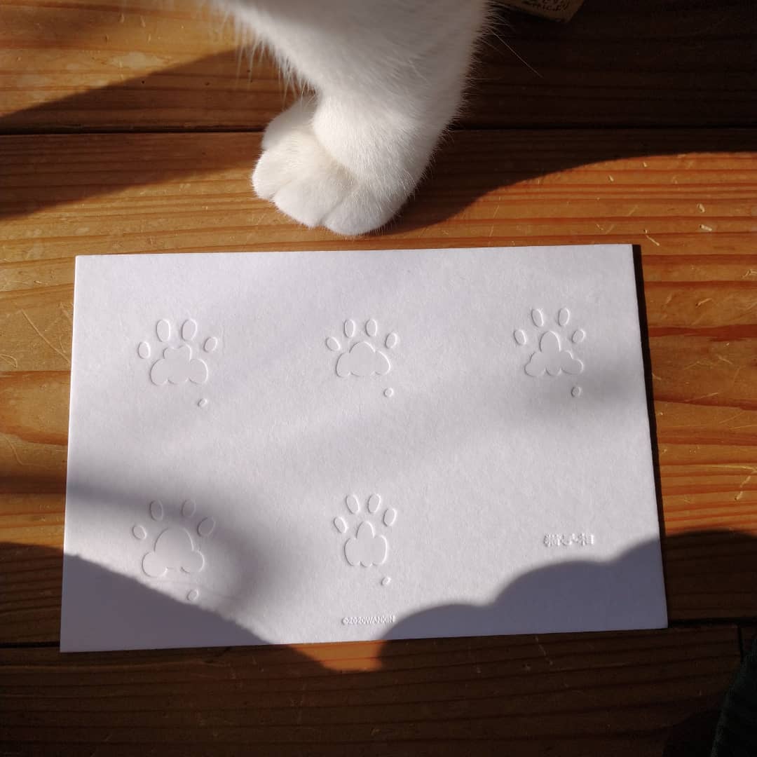 活版印刷カード『猫手相』