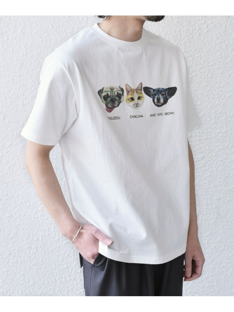 Rakuten - さかがみ家*SHIPS:コラボ プリント Tシャツ◇ SHIPS Colors シップス トップス カットソー・Tシャツ ホワイト ネイビー ベージュ【送料無料】[Rakuten Fashion]
