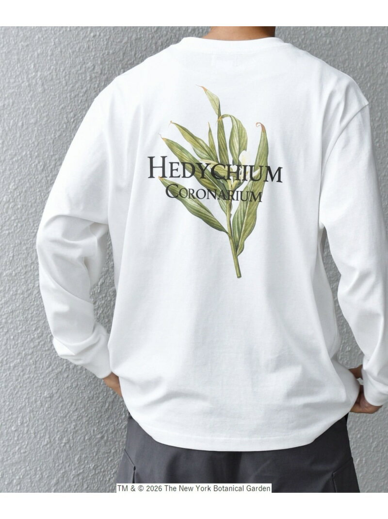 【SHIPS any別注】NYBG: ボタニカル プリント リラックス Tシャツ (ロンT)◆ SHIPS any シップス トップス カットソー・Tシャツ ブラック ホワイト【先行予約】*【送料無料】[Rakuten Fashion]