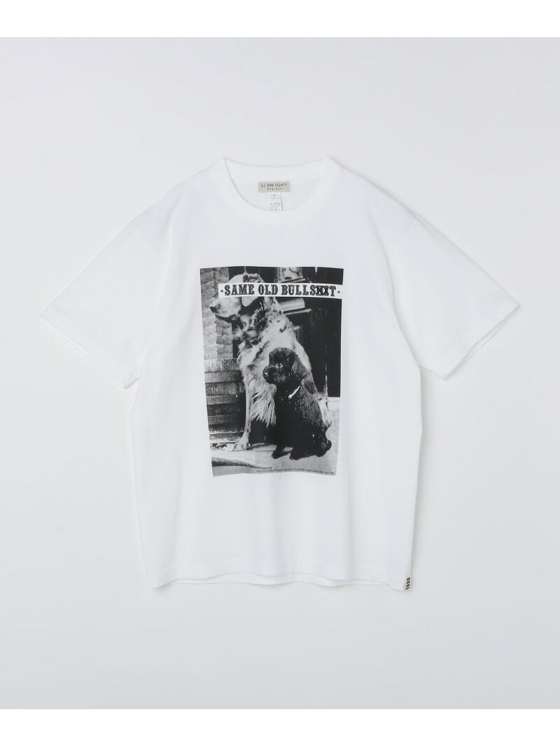 樂天商城 - ILL180°: DOGGY DOG TEE SHIPS MEN シップス トップス カットソー・Tシャツ ホワイト【送料無料】[Rakuten Fashion]