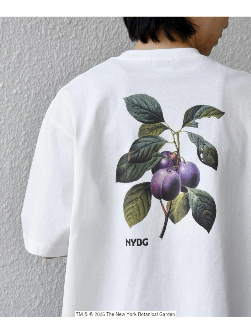 Rakuten - 【SHIPS any別注】NYBG: ボタニカル プリント リラックス Tシャツ◇ SHIPS any シップス トップス カットソー・Tシャツ ホワイト ブラック【送料無料】[Rakuten Fashion]
